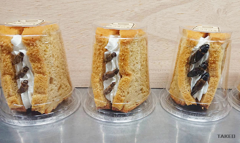 昆虫食自販機 昆虫食 自販機 ケーキの自販機 昆虫食自動販売機 上野 浅草 中野 ケーキの自動販売機 シフォンケーキ優 -yuu- ジハンキイチバ