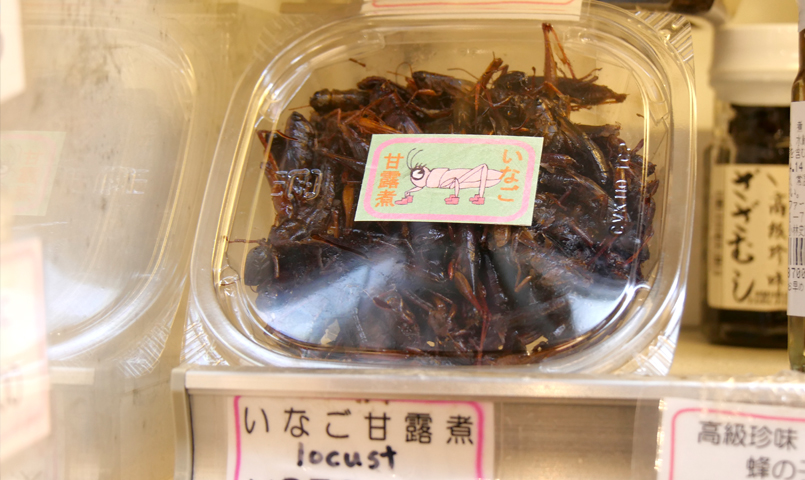 京都の昆虫食「珍味の喜久屋」