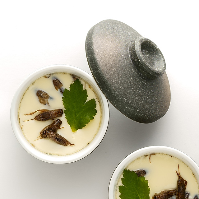 レシピ 茶碗蒸し 京都こおろぎ 食べる昆虫 煮干し