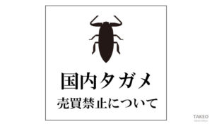 タイ産　タガメ標本　売買禁止品ではありません タガメ」の売買が禁止？「特定第二種国内希少野生動植物種」に指定
