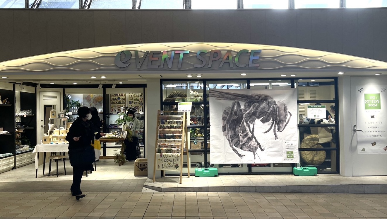 スタディールーム 上野駅店 エキュート 上野昆虫食