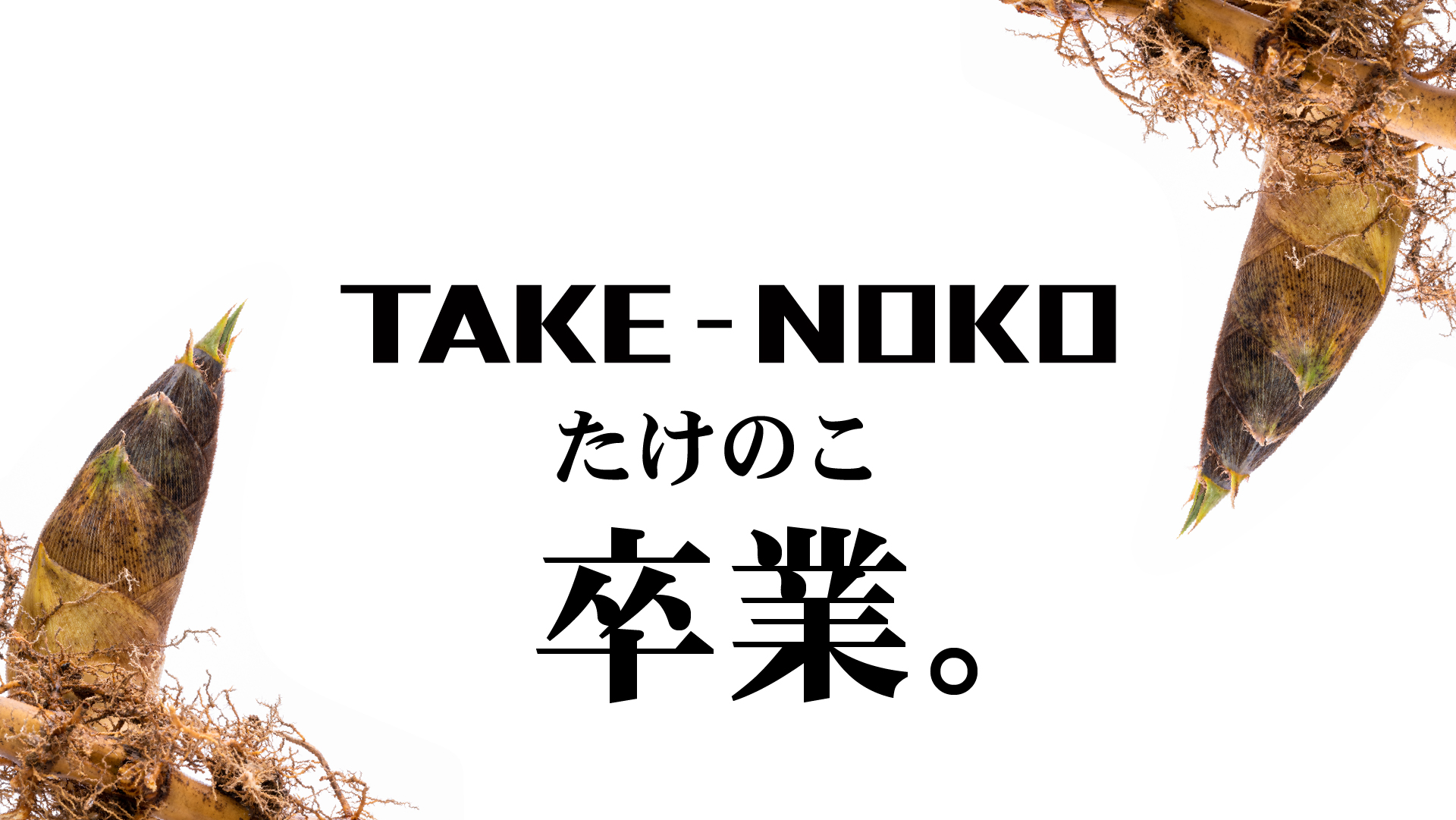 昆虫食TAKEO TAKE-NOKO 実店舗