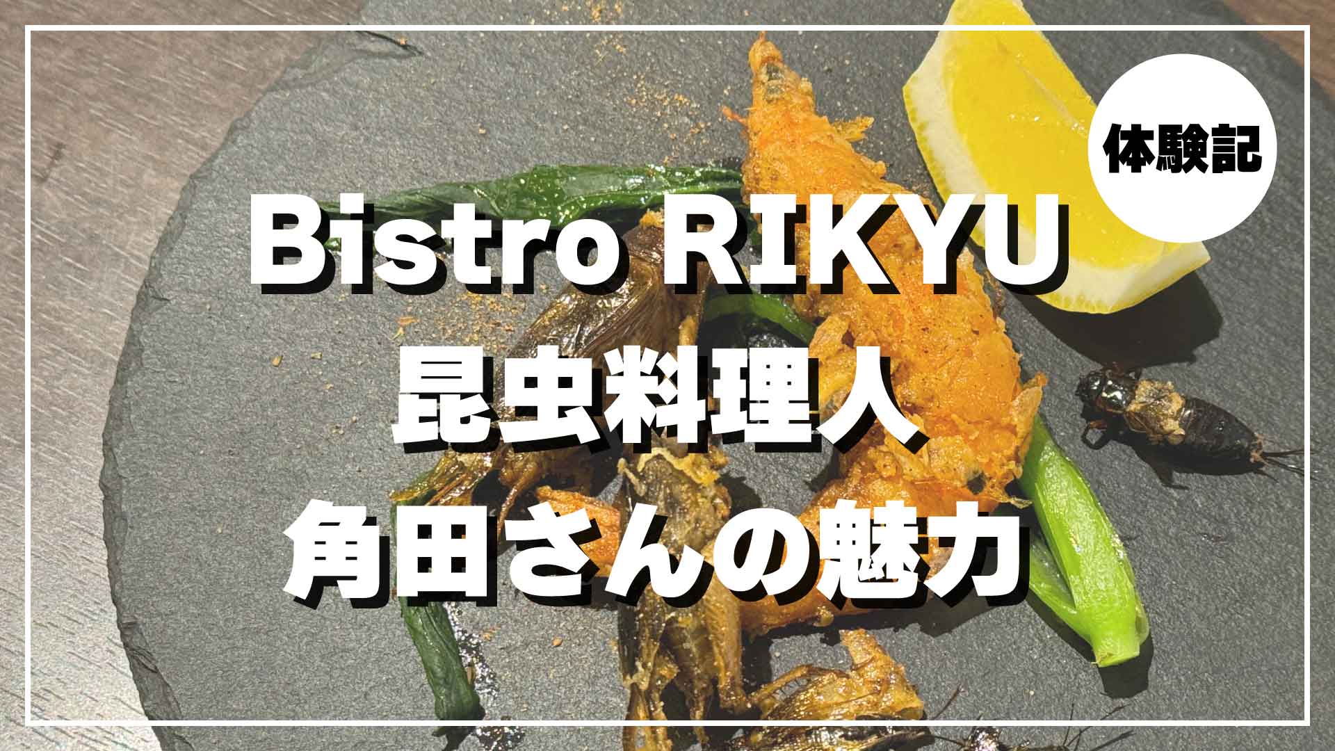 昆虫料理人 角田健一 Bistro RIKYU 体験記 昆虫食フルコース 潜入レポート