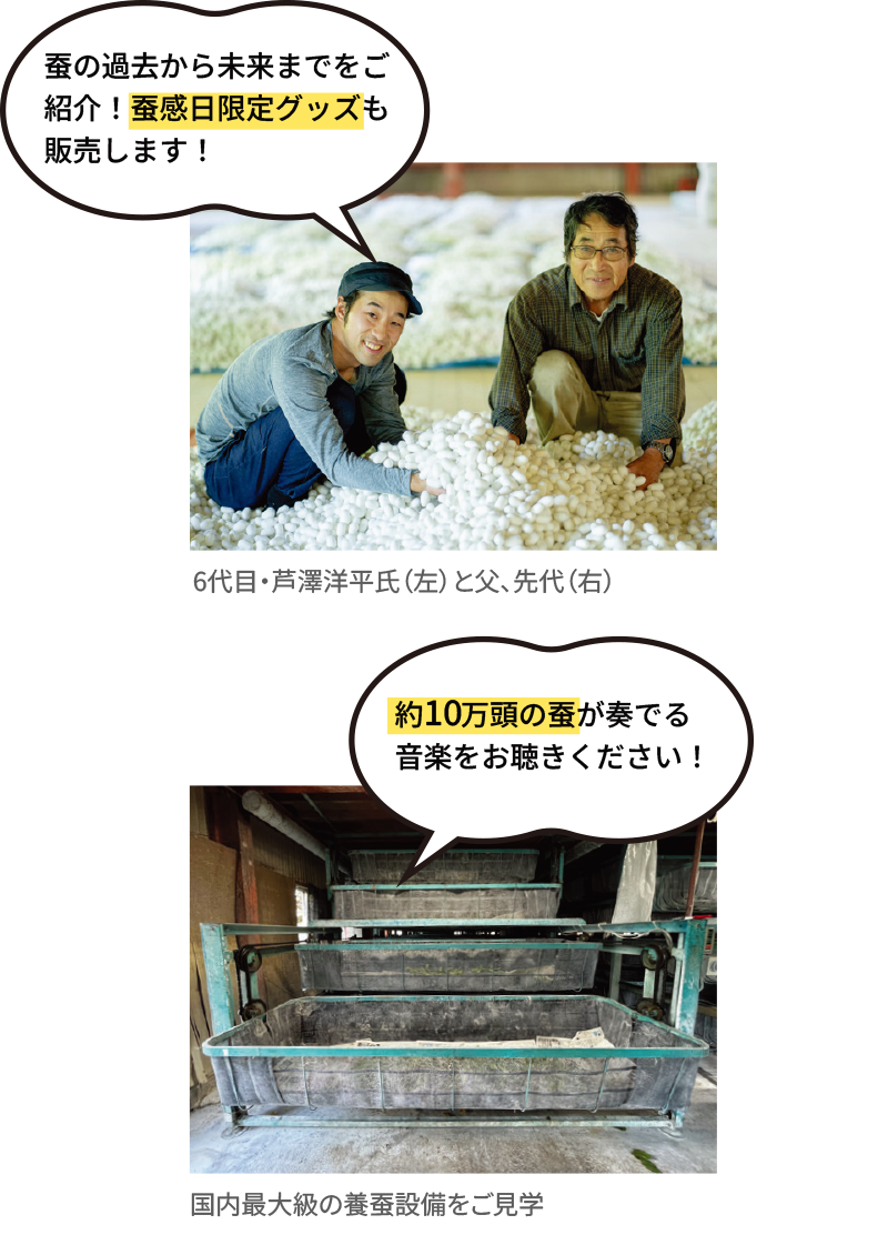 蚕感日ショップ 芦澤洋平 アシザワ養蚕 養蚕農家 富士川町 蚕感日