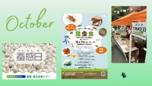 昆虫食TAKEO浅草本店の10月のイベント予定。出張イベント、ツアー、群馬県庁、GINGHAM、群馬県前橋市、試食、蚕、佃煮、揚げコオロギ、FUTURENAUT、ワークショップ、蟲神器、蚕感日、さんかんび、sankanbi、山梨県富士川町、アシザワ養蚕、蚕を五感で楽しむ日、養蚕・農泊体験ツアー、かわせみフェスティバル、水元かわせみの里、東京都葛飾区、お祭り