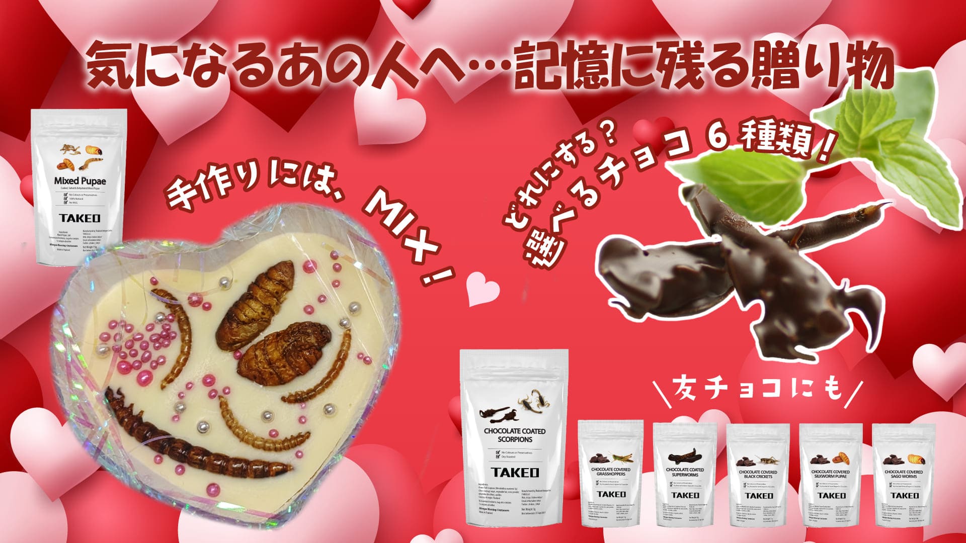 �Х�󥿥��� ��� �ۥ磻�ȥǡ� ������祳 ������ ��� ��ѥå����꡼�� ���纫�� �����֥� ���֥ȥॷ ��������� ������