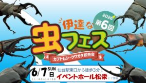 仙台】伊達な虫フェス | 昆虫食TAKEO｜通販から実店舗、製造、養殖