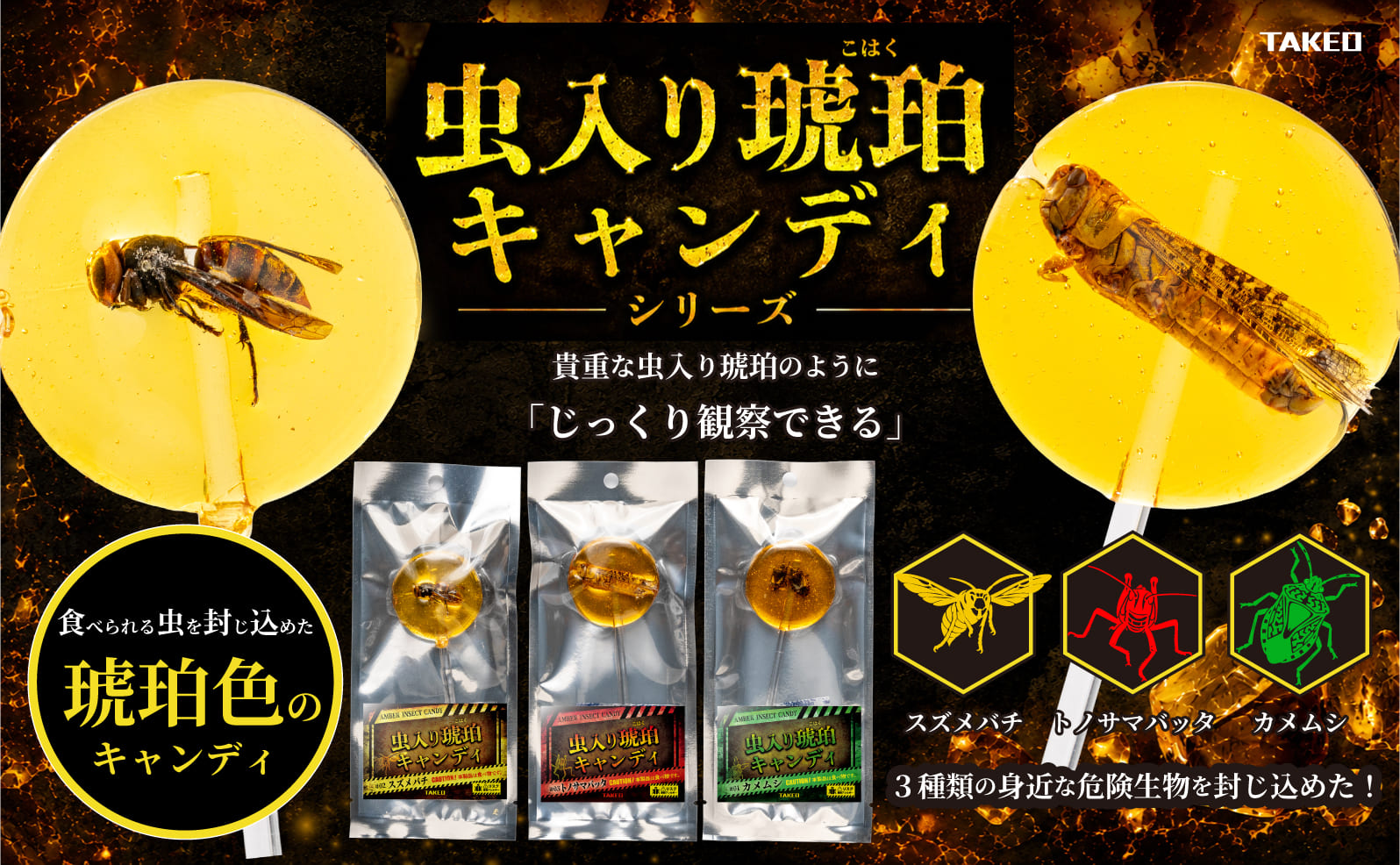 虫入り琥珀キャンディ | カメムシ【危険生物】 - 昆虫食TAKEO｜通販